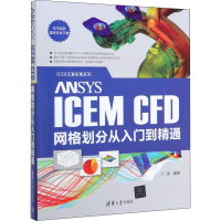 音像ANSYS ICEM CFD网格划分从入门到精通丁源 编