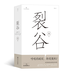 正版新书]裂谷泉9787541168284