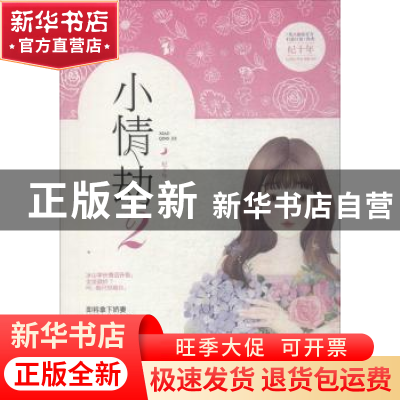 正版 小情劫:2 纪十年著 江苏凤凰文艺出版社 9787559421463 书籍