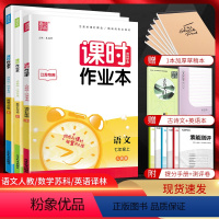 [三本]七上语数英江苏版 七年级/初中一年级 [正版]江苏版2024版课时作业本七年级上册下册语文数学英语人教苏科译林版