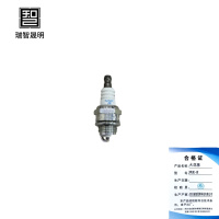 瑞智晟明(RZSM)火花塞NGK-R