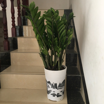 屏风花盆 屏风花盆推荐 苏宁易购