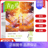青春风-4册套装 全国适用 [正版]天星教育2025版疯狂阅读青春风特辑流年+微凉+倾城+迷蝶全套4册任选中学生课外阅读