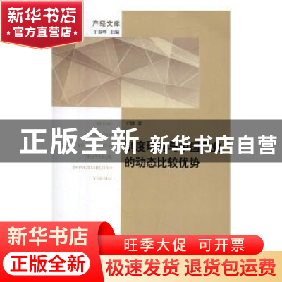 正版 制度环境与中国产业的动态比较优势 王健 上海人民出版社 97