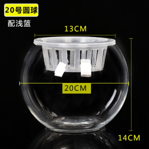 水培植物玻璃瓶个性容器富贵竹小清新定植篮客厅桌面小型迷你鱼缸