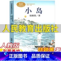 小岛 [正版]小岛书五年级上册课外书人民教育出版社陆颖墨著人教版语文配套阅读王林主编课文作家作品系列彩图美绘版