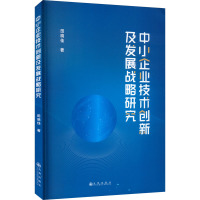 中小企业技术创新及发展战略研究