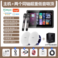 先科(SAST)智能AI家庭吸顶音响客厅无线蓝牙吊顶智能K歌主机+2个6.5英寸超重低音同轴吸顶音响+10吋专业低音炮