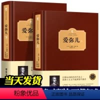[正版]爱弥儿 卢梭 精装无删减版 上下全2册爱弥尔西方百年学术经典 卢梭论述资产教育著作世界文学名著儿童教育书籍 爱
