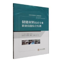 音像储能材料技术专业职业技能综合实训江名喜,席莉主编