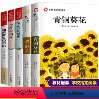 [正版]小英雄雨来草房子青铜葵花宝葫芦的秘密细菌世界历险记曹文轩原著完整版张天翼四五六年级必读课外书儿童文学经典纯美小