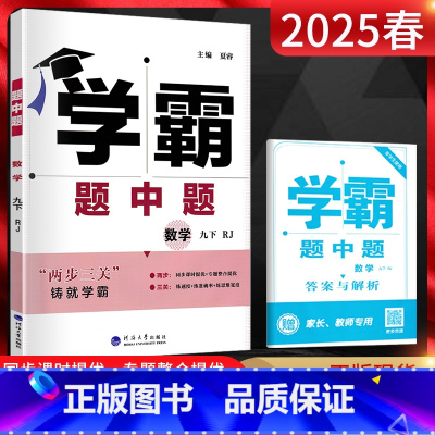 数学 九年级下 [正版] 2025春学霸题中题九年级数学下册 人教版RJ 初三9年级下册同步辅导资料练习册提优课时作