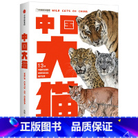 [正版]中国大猫 赠磁性书签 POP小亮老师 吕植著 虎 雪豹 兔狲 荒漠猫等13种中国猫科动物978752174368