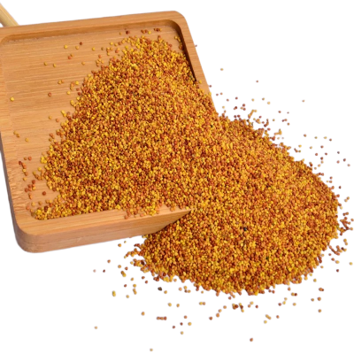 诚智旺 白三叶草种子 净籽/千克