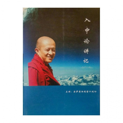 入中论讲记,宗萨仁波切