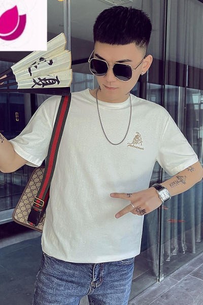 七斓夏季半袖2023年新款短袖男ins潮牌百搭刺绣T恤薄款衣服夏装半截袖