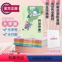 智慧背囊音频版1-5辑大字号 初中通用 [正版]2024版音频版智慧背囊系列大全集5册南方出版社小学初中中学作文书作文素