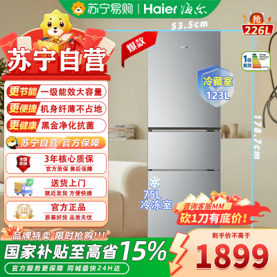 海尔三门冰箱 BCD-226WGHC3E9XM 226升 变频风冷 自动除霜 一级能效 冰河银设计 家用三口之选