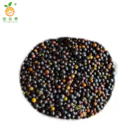 廷豪果 七彩油菜花籽 油菜花种子 QCH-1 /千克