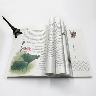 [M]荷花 青少版 叶圣陶 著 -9787538697216