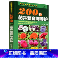[正版]200种花卉繁育与养护 花卉种植栽培技术书 花卉园艺智慧书籍大全 室内养花植物图鉴种植栽培技术入门盆栽花卉种植