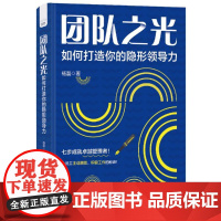 团队之光