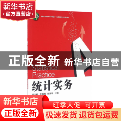 正版 统计实务 黄正祥,李蜀湘,姬海华主编 湖南大学出版社 9787