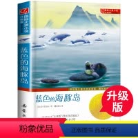 蓝色的海豚岛 [正版]蓝色的海豚岛书升级版国 际大奖小说7-10-12-15岁三四五六年级小学生课外书纽伯瑞儿童文学奖书