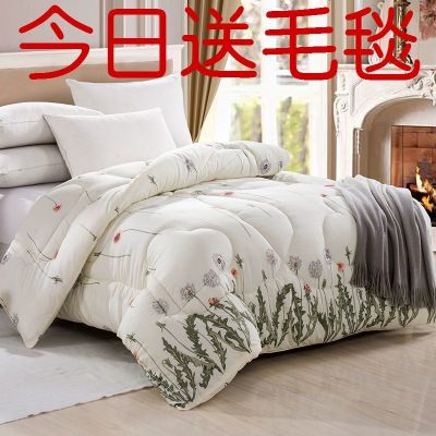 被芯棉被冬被双人春秋夏被夏凉被单人加厚保暖冬天学生宿舍棉被子