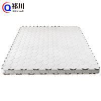 祁川 床垫棕垫 1000*2000*100mm/张