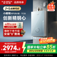 史密斯佳尼特[小精钢TCS5]16升精钢燃气热水器 国家补贴 JSQ31-TCS5 安全守护 持久恒温大水量 新品
