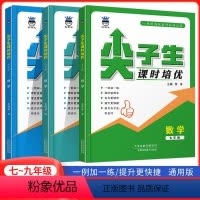 [数学]尖子生课时培优 七年级/初中一年级 [正版]2024奥赛王尖子生课时培优 数学七年级八年级九年级数学培优训练初中