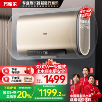 万家乐60升电热水器扁桶 双胆双镁棒 独立双胆 AI智能杀菌 出水断电 3000W 一级能效D60-FB5以旧换新