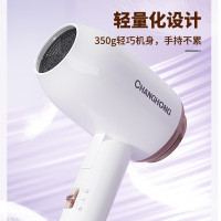 长虹 吹风机/台 DCF-1210A01