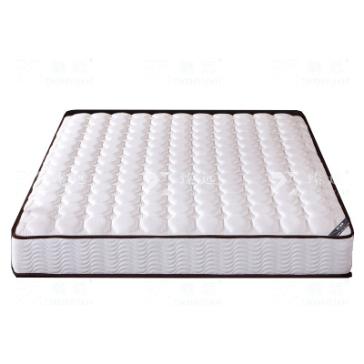 臻远 ZY-RML-H09201 乳胶床垫弹簧床垫 1000*2000 白色