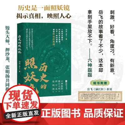 历史的照妖镜 烟雨 萧十一 著 以岳飞之死为镜像 多维度剖析权力游戏与人性大戏 六神磊磊 馒头大师等 正版历史类书籍
