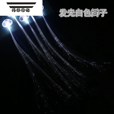 拓斯帝诺发光蝴蝶辫子闪光玩具儿童装饰七彩光纤丝夜光头发地推小礼品货源白色辫子10个-发光玩具