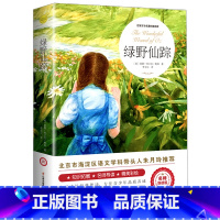 绿野仙踪 [正版]尼尔斯骑鹅旅行记原著历险记完整无删减版原版六年级下册必读的课外书米尔斯美绘珍藏快乐读书吧全套小学生课外