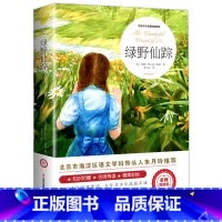绿野仙踪 [正版]尼尔斯骑鹅旅行记原著历险记完整无删减版原版六年级下册必读的课外书米尔斯美绘珍藏快乐读书吧全套小学生课外