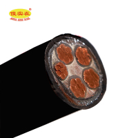 傻实在 电缆 国标全项保检ZC-YJV22 4*25mm²+1*16mm² 米