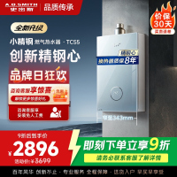 史密斯佳尼特[小精钢TCS5]16升精钢燃气热水器 国家补贴 JSQ31-TCS5 安全守护 持久恒温大水量 新品