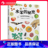 [正版] 水果的秘密 盛口满的手绘自然图鉴 日本童书研究会儿童插图科普百科绘本书籍