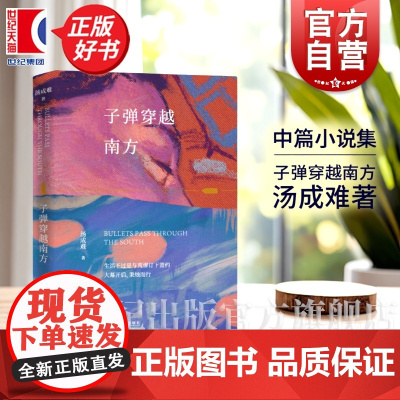 子弹穿越南方 人民文学奖得主汤成难著中篇小说集当代生存说明书上海文艺出版社女性写作小说集正版图书籍