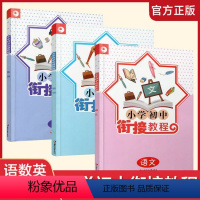 [正版]2022年秋季 小学初中衔接教程套装 语文/数学/英语共3本 小升初衔接 初中入门指导 江苏凤凰教育出版社