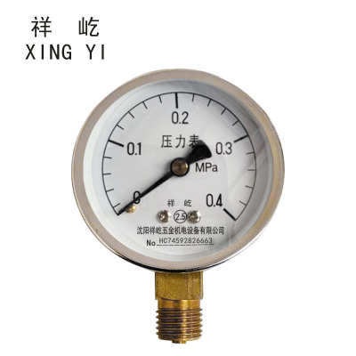 祥屹+压力表检测定制型+Y60+块