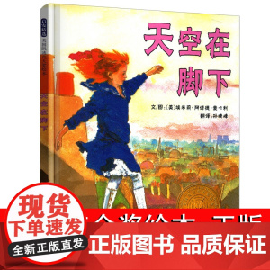 天空在脚下 凯迪克金奖挫折教育绘本 关于坚持梦想 精装硬壳3-6-8-10岁 二三四年级阅读课外书必读幼儿童故事书麦卡利