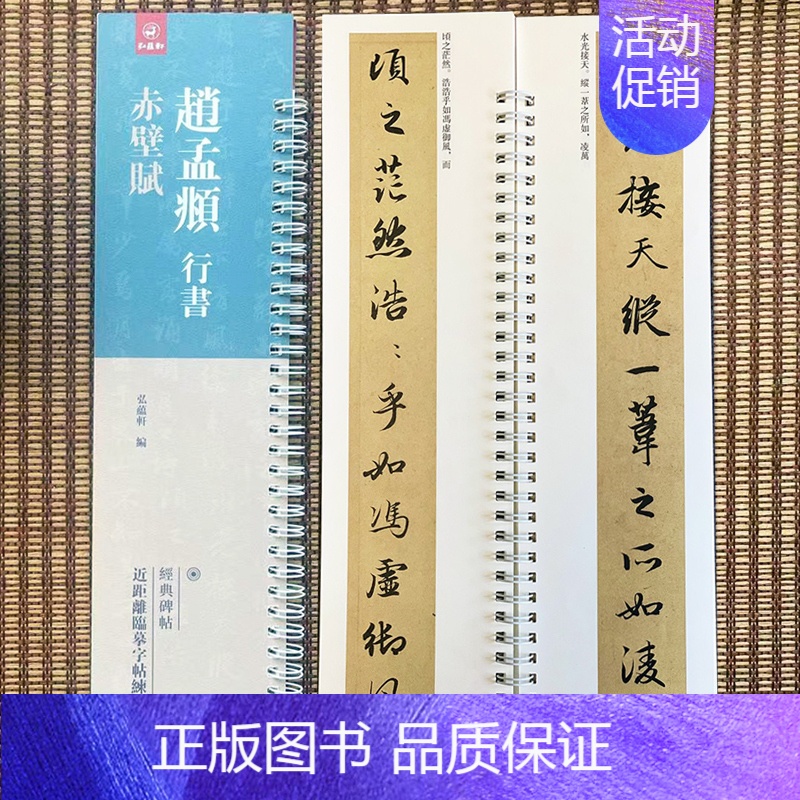 [正版]经典碑帖近距离临帖摹字练习卡赵孟頫行书赤壁赋赵孟俯赤壁赋近距离临摹字卡字帖毛笔书法字帖卡初学者入门字条贴毛笔书法