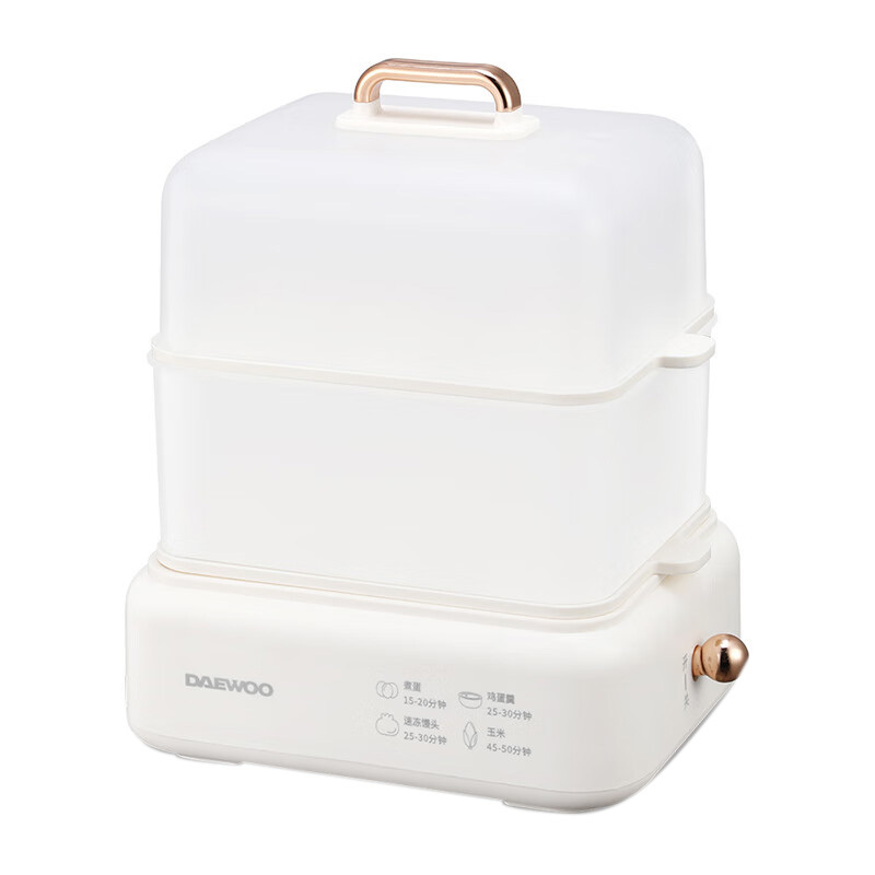 大宇电蒸锅家用煮蛋器小型多功能蒸蛋蒸包双层DYZD-20W3