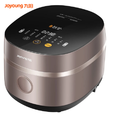 九阳4L铁釜电饭煲40TD02