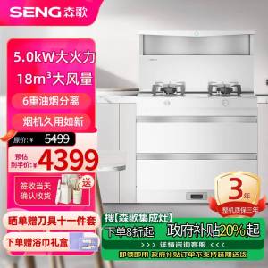 森歌(SENG)集成灶L1 消毒柜款外观美 大容量 一体式吸烟机燃气灶具 家用抽油烟机燃气灶套装 天然气白色款
